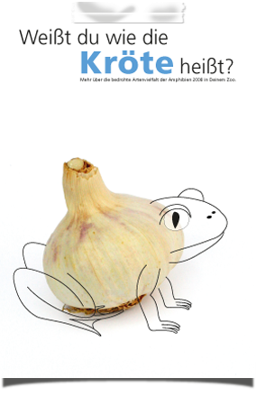 Postkarte - Amphibien