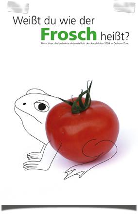 Postkarte - Amphibien