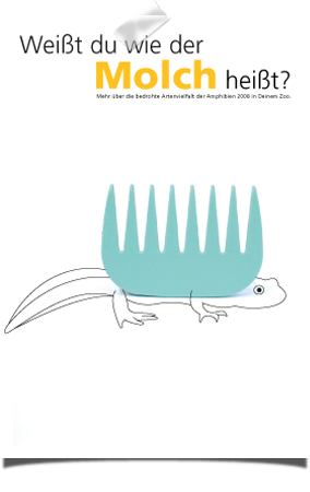 Postkarte - Amphibien