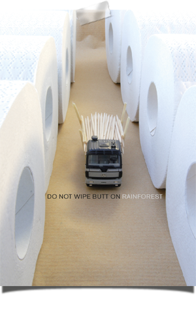 Postkarte - Do not Print on Rainforest